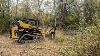 Forestry Mulching And Land Clearing With The New Asv Vt 100