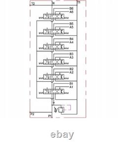 Vanne de contrôle directionnel hydraulique 6 BANK 2x JOYSTICK 21gpm 80L 6x Double ex